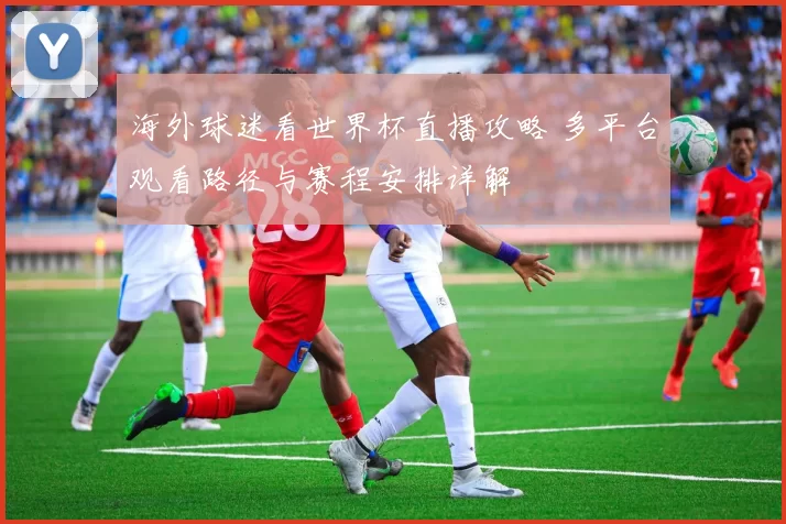 海外球迷看世界杯直播攻略 多平台观看路径与赛程安排详解