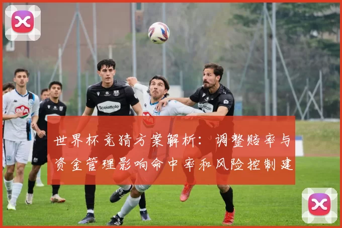 世界杯竞猜方案解析：调整赔率与资金管理影响命中率和风险控制建议