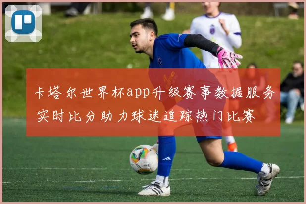 卡塔尔世界杯app升级赛事数据服务 实时比分助力球迷追踪热门比赛