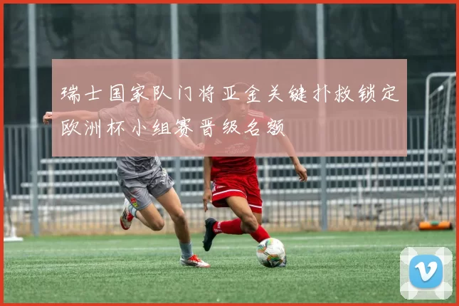 瑞士国家队门将亚金关键扑救锁定欧洲杯小组赛晋级名额