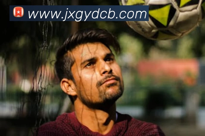 Bsports官方网站登录入口平台生态图