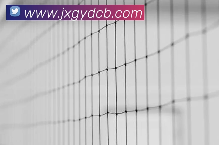 Bsports官方网站登录入口APP 封面图