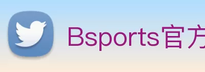 Bsports官方网站登录入口 Logo
